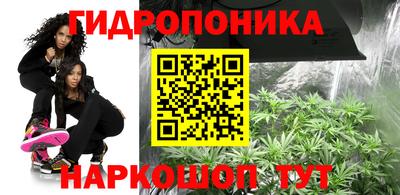 гидропоника Ливны