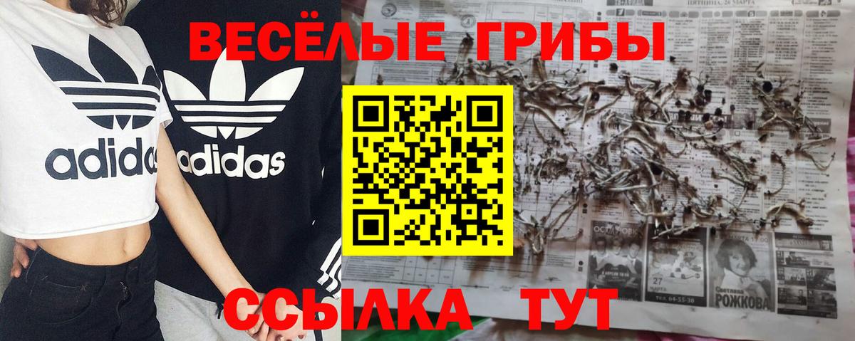 Жигулёвск  Галлюциногенные грибы Psilocybine cubensis  Вход с VPN  Псилоцибиновые грибы Psilocybine cubensis 